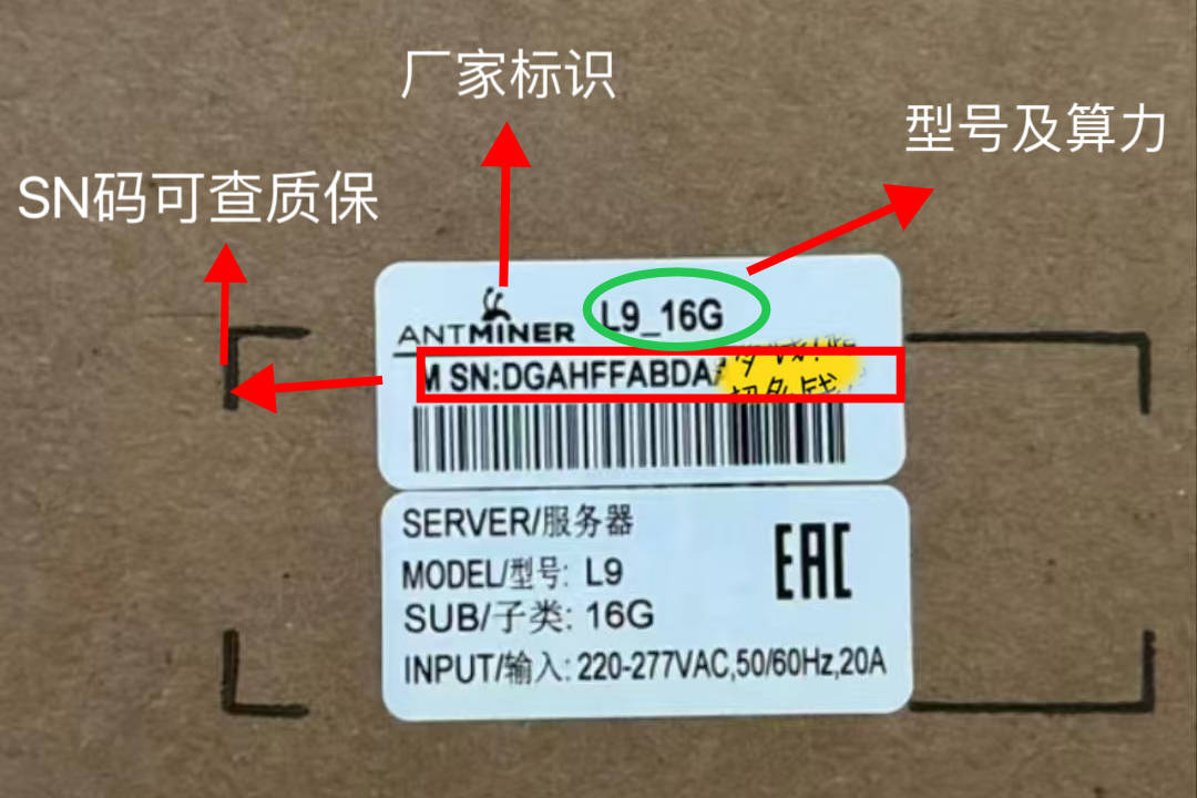 挖狗狗币的蚂蚁L9操作流程