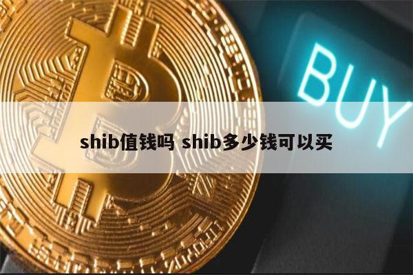 shib币今日的价格(shib币今日价格走势图)