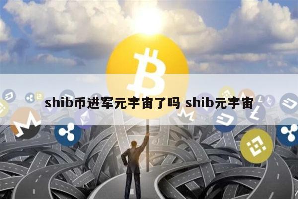 给我播放shib币(shib币未来价格预测)