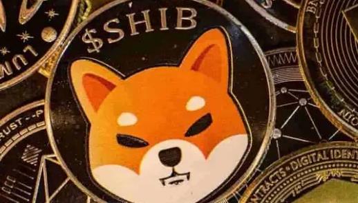 币shib(彼时彼时全文阅读)